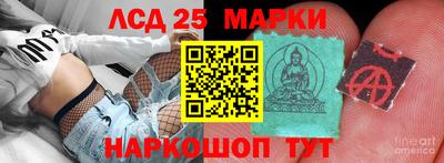 альфа пвп Владикавказ
